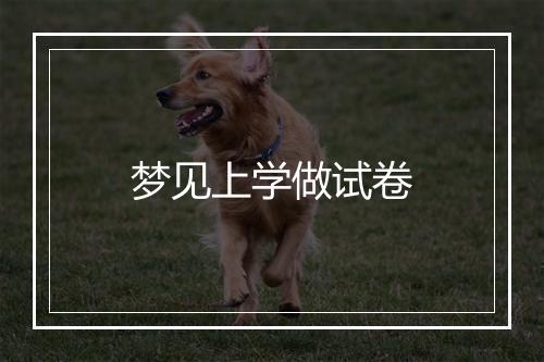 梦见上学做试卷