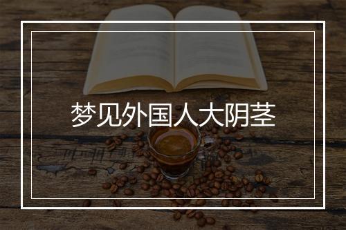 梦见外国人大阴茎