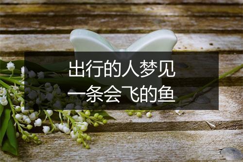 出行的人梦见一条会飞的鱼