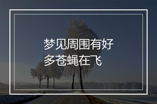 梦见周围有好多苍蝇在飞