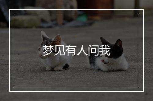 梦见有人问我