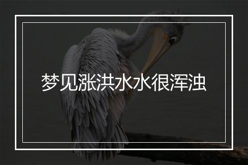 梦见涨洪水水很浑浊