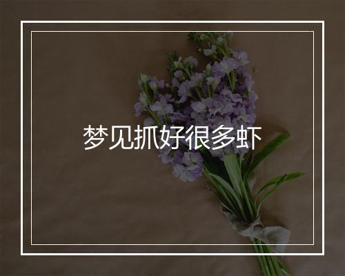 梦见抓好很多虾