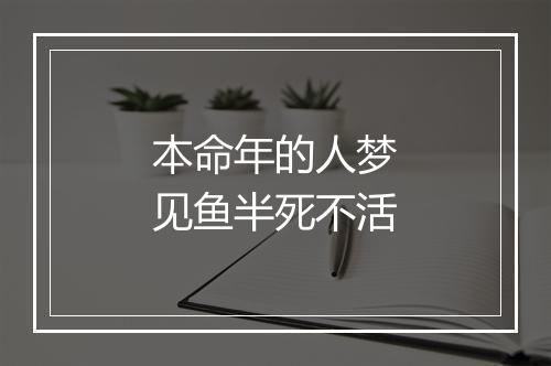 本命年的人梦见鱼半死不活