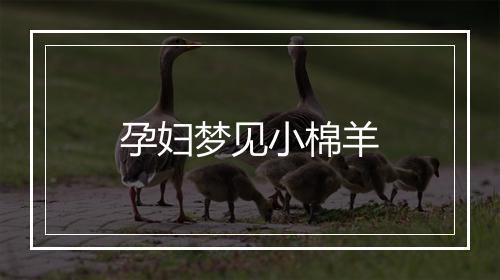 孕妇梦见小棉羊