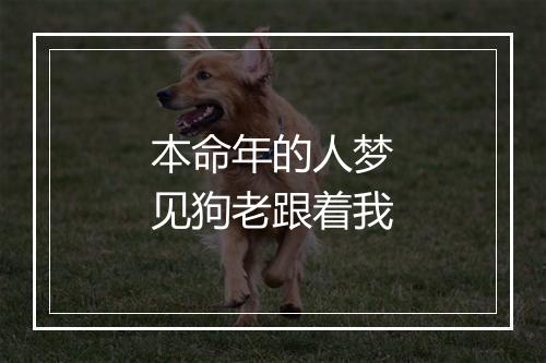 本命年的人梦见狗老跟着我