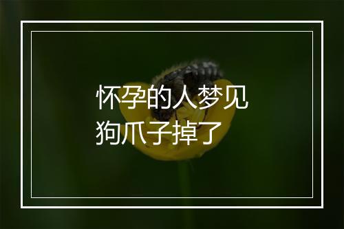 怀孕的人梦见狗爪子掉了