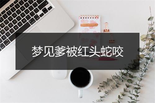 梦见爹被红头蛇咬