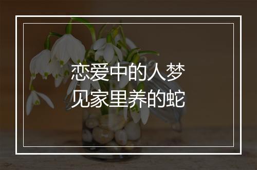 恋爱中的人梦见家里养的蛇