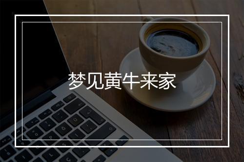 梦见黄牛来家