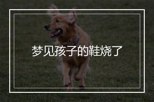 梦见孩子的鞋烧了