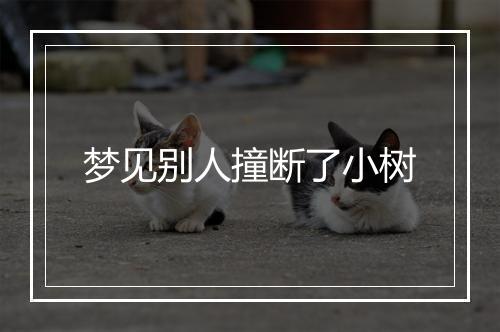 梦见别人撞断了小树