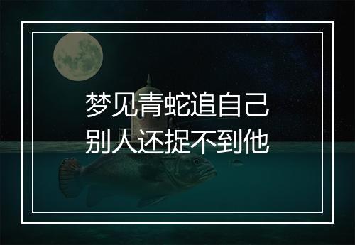 梦见青蛇追自己别人还捉不到他