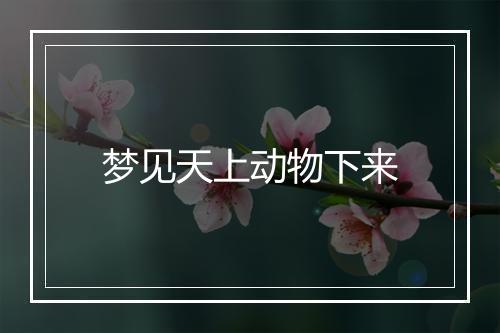 梦见天上动物下来