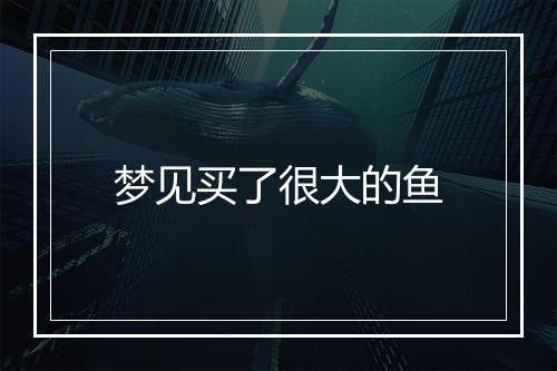 梦见买了很大的鱼