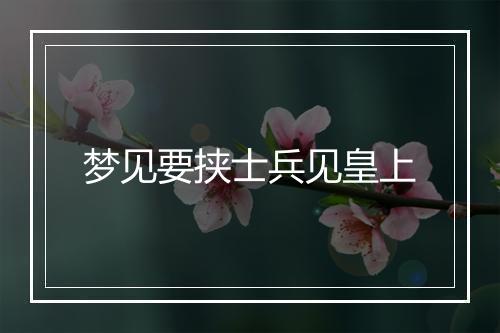 梦见要挟士兵见皇上