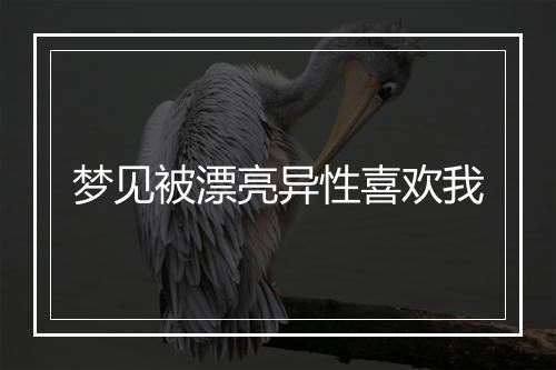 梦见被漂亮异性喜欢我