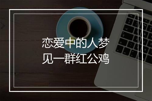 恋爱中的人梦见一群红公鸡