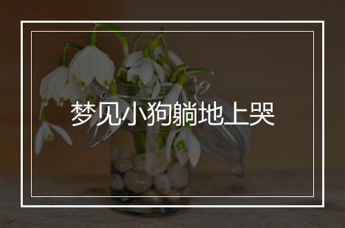 梦见小狗躺地上哭