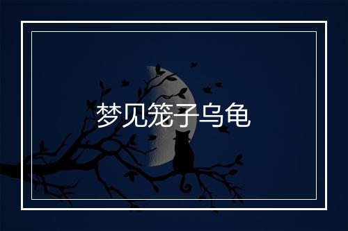 梦见笼子乌龟