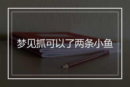 梦见抓可以了两条小鱼