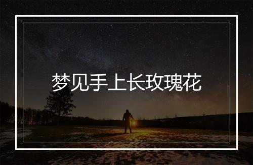 梦见手上长玫瑰花