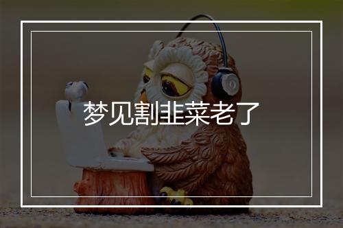 梦见割韭菜老了