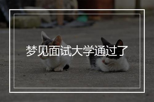 梦见面试大学通过了