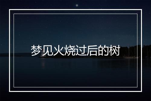 梦见火烧过后的树