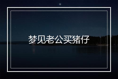 梦见老公买猪仔