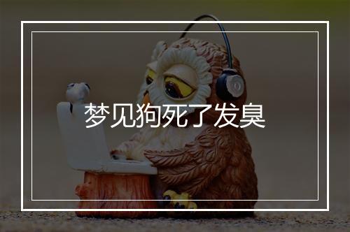 梦见狗死了发臭