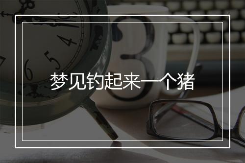 梦见钓起来一个猪