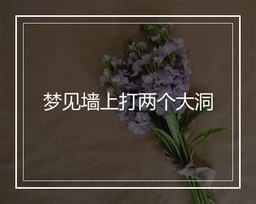 梦见墙上打两个大洞