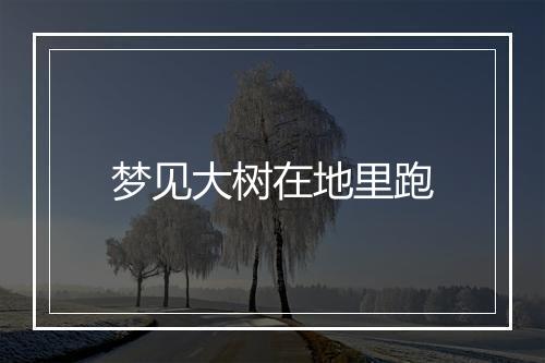 梦见大树在地里跑