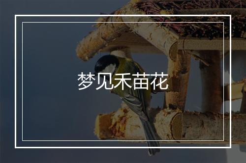 梦见禾苗花