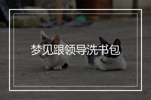 梦见跟领导洗书包