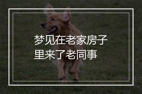 梦见在老家房子里来了老同事