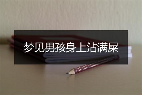 梦见男孩身上沾满屎