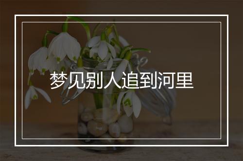 梦见别人追到河里