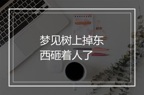 梦见树上掉东西砸着人了