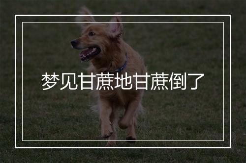 梦见甘蔗地甘蔗倒了