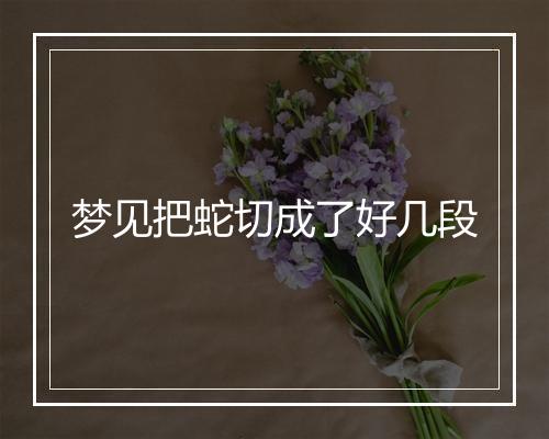 梦见把蛇切成了好几段