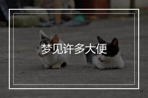 梦见许多大便