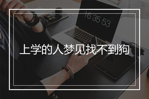 上学的人梦见找不到狗