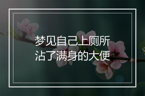 梦见自己上厕所沾了满身的大便