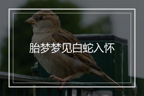 胎梦梦见白蛇入怀