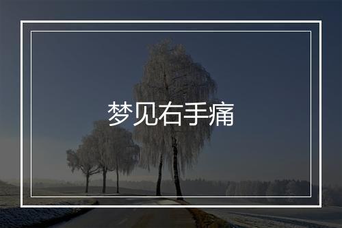 梦见右手痛