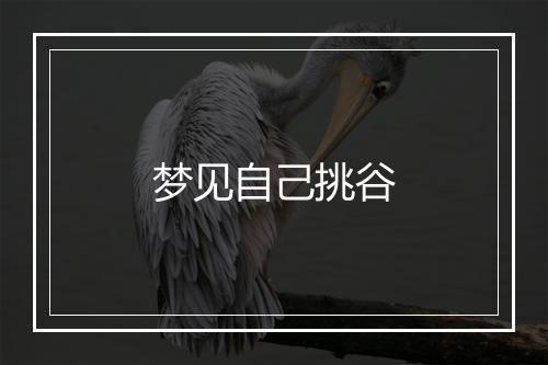 梦见自己挑谷