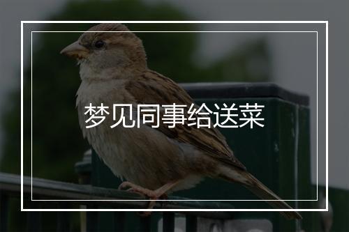 梦见同事给送菜