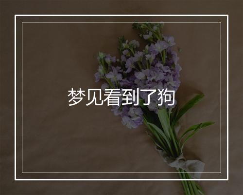 梦见看到了狗